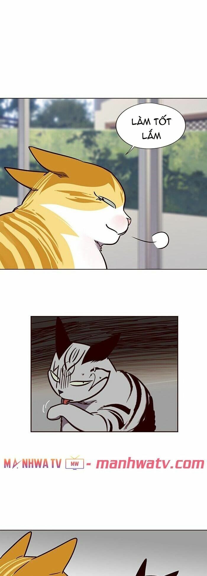 đọc truyện Hóa Thân Thành Mèo Chương 58 ảnh 27 tại Thiên Thai Truyện