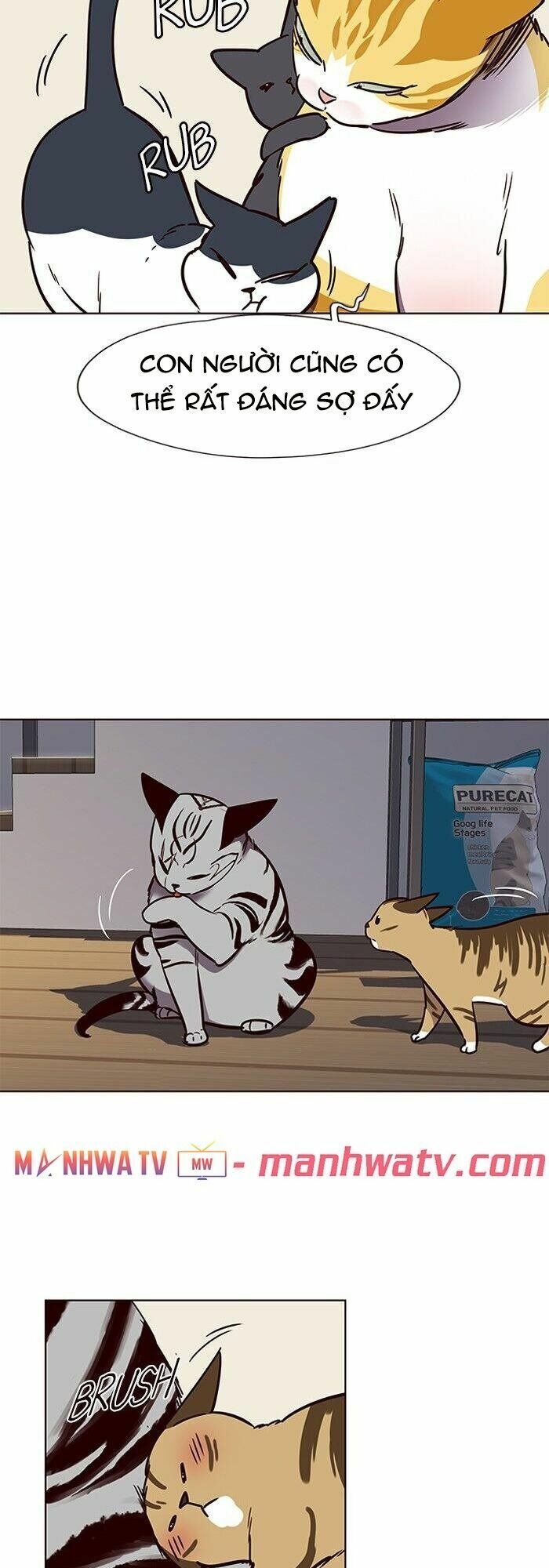 đọc truyện Hóa Thân Thành Mèo Chương 58 ảnh 29 tại Thiên Thai Truyện