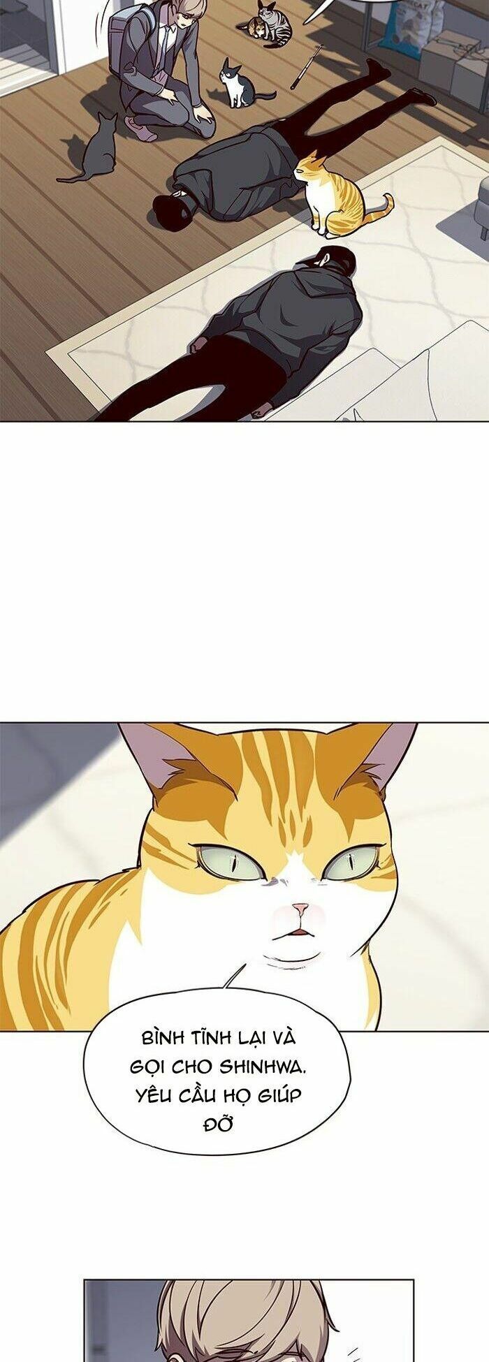 đọc truyện Hóa Thân Thành Mèo Chương 58 ảnh 34 tại Thiên Thai Truyện