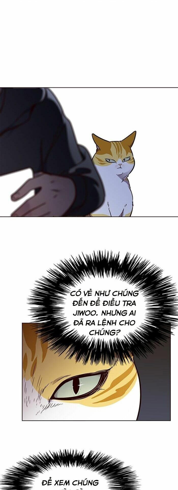 đọc truyện Hóa Thân Thành Mèo Chương 58 ảnh 6 tại Thiên Thai Truyện