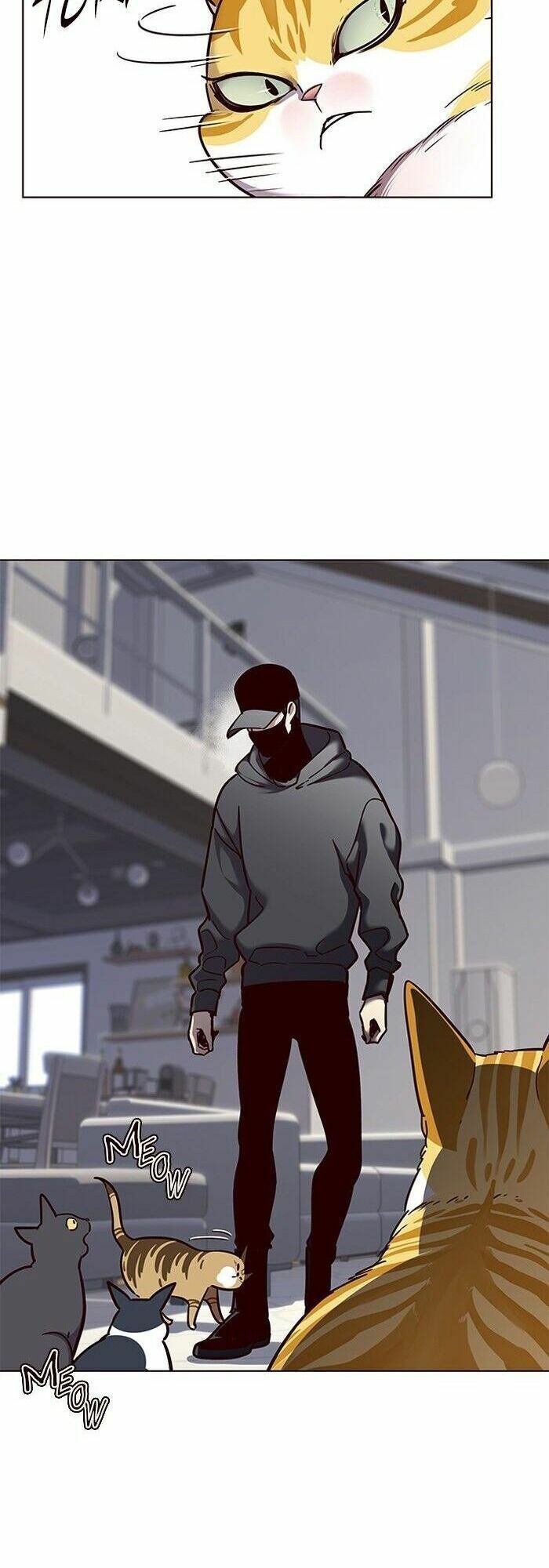 đọc truyện Hóa Thân Thành Mèo Chương 58 ảnh 8 tại Thiên Thai Truyện