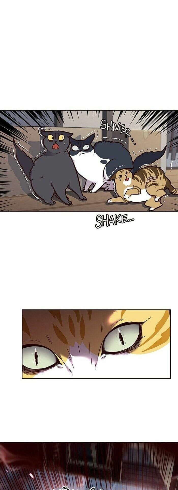 đọc truyện Hóa Thân Thành Mèo Chương 58 ảnh 10 tại Thiên Thai Truyện