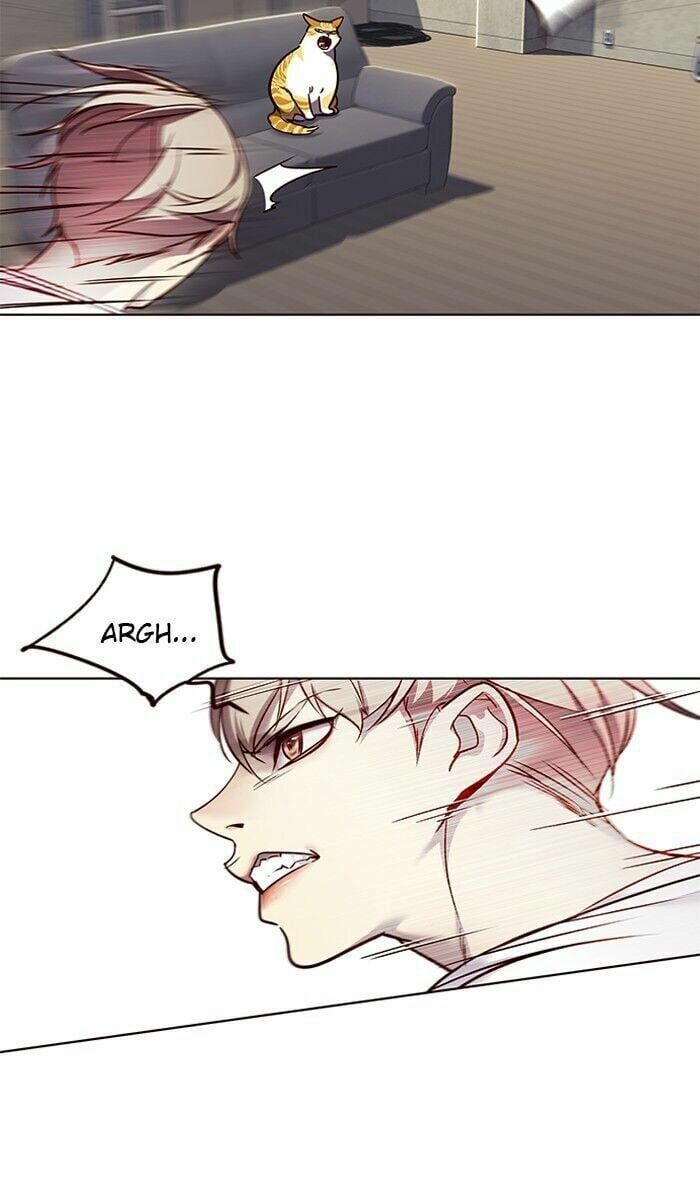 đọc truyện Hóa Thân Thành Mèo Chương 59 ảnh 43 tại Thiên Thai Truyện