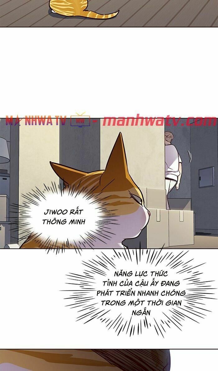 đọc truyện Hóa Thân Thành Mèo Chương 59 ảnh 53 tại Thiên Thai Truyện