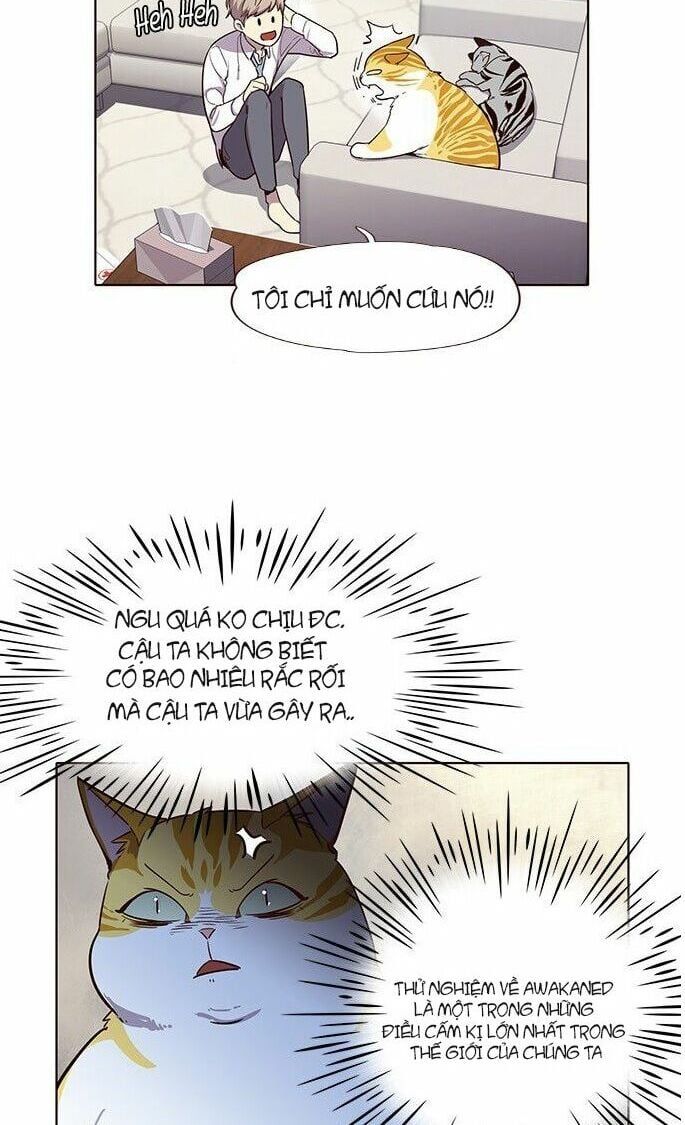 đọc truyện Hóa Thân Thành Mèo Chương 6 ảnh 14 tại Thiên Thai Truyện