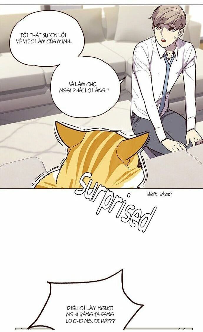 đọc truyện Hóa Thân Thành Mèo Chương 6 ảnh 19 tại Thiên Thai Truyện