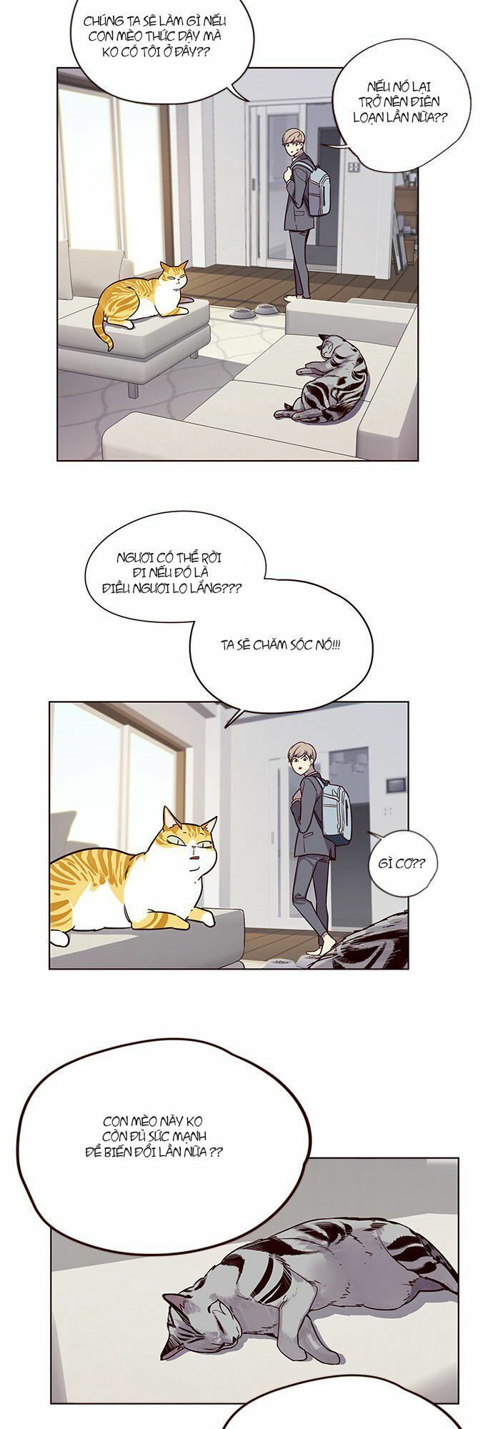 đọc truyện Hóa Thân Thành Mèo Chương 6 ảnh 26 tại Thiên Thai Truyện