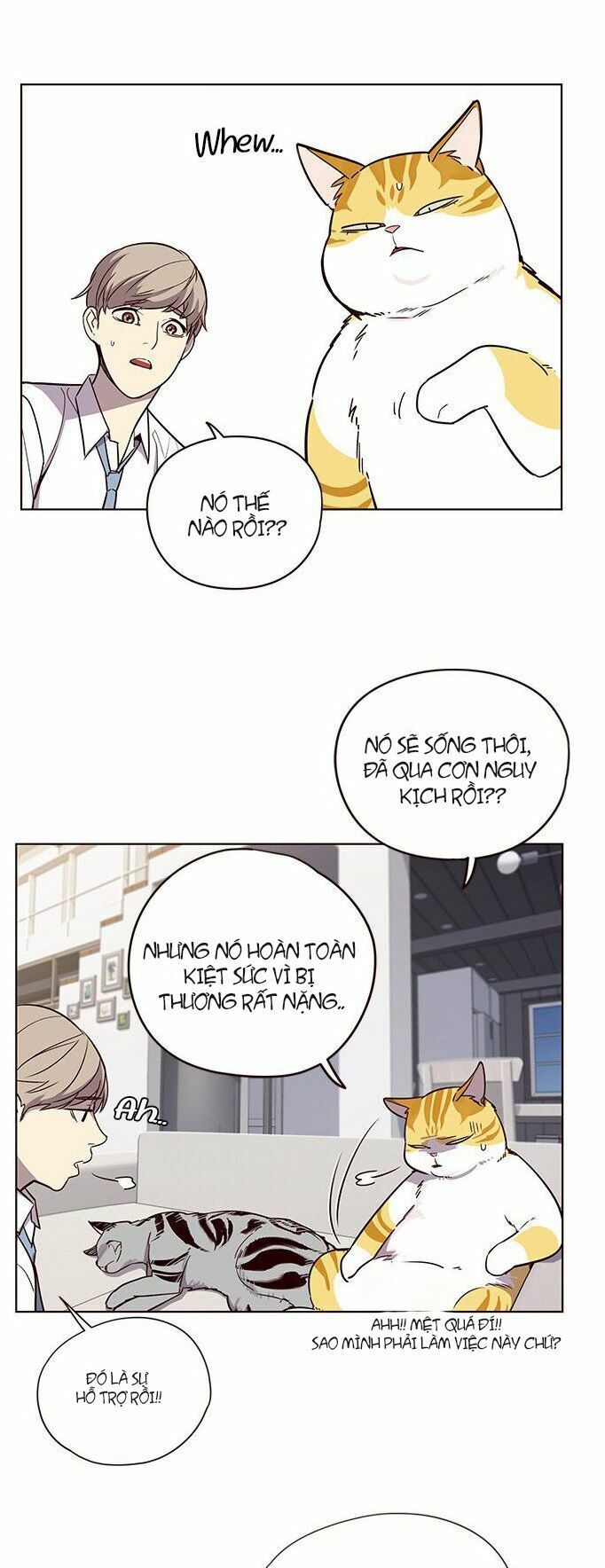 đọc truyện Hóa Thân Thành Mèo Chương 6 ảnh 5 tại Thiên Thai Truyện