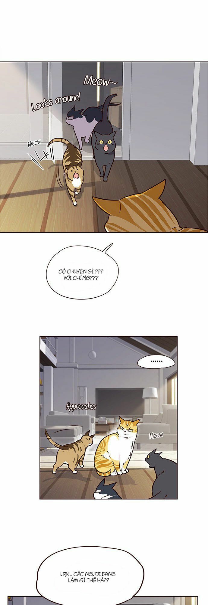 đọc truyện Hóa Thân Thành Mèo Chương 6 ảnh 34 tại Thiên Thai Truyện