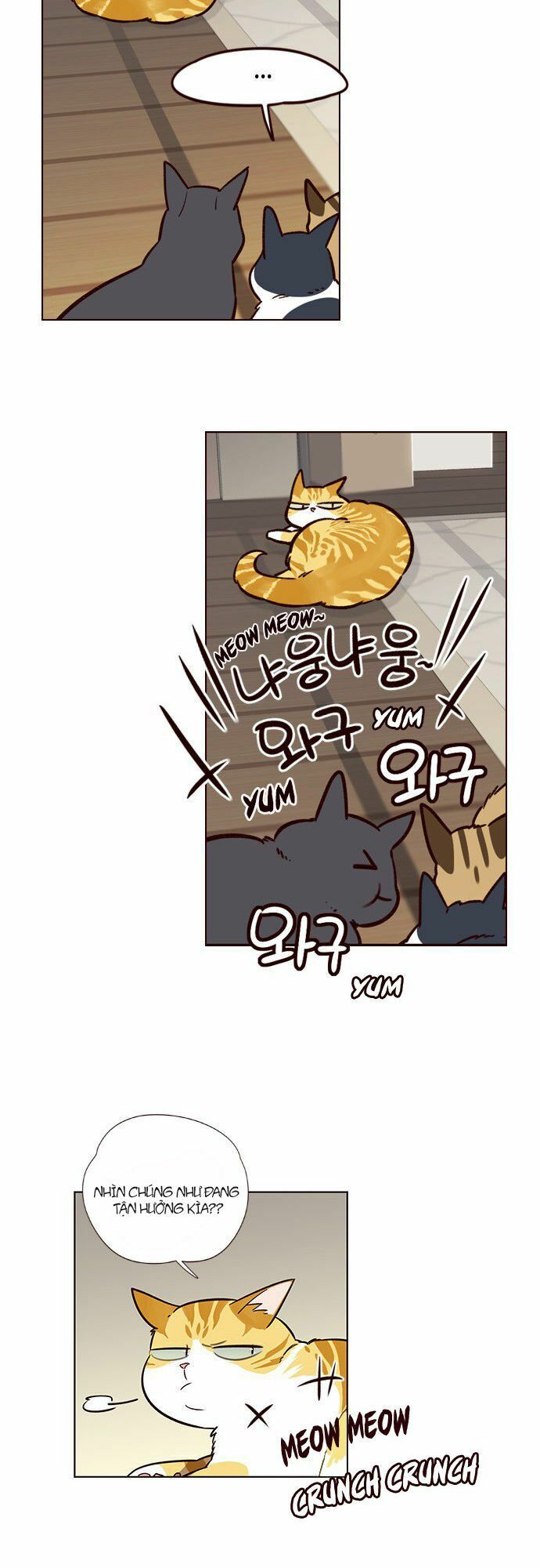 đọc truyện Hóa Thân Thành Mèo Chương 6 ảnh 41 tại Thiên Thai Truyện