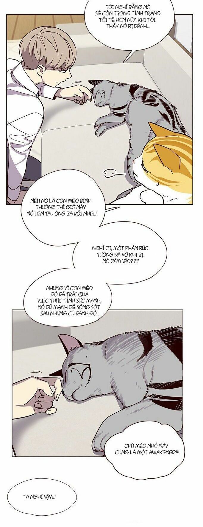 đọc truyện Hóa Thân Thành Mèo Chương 6 ảnh 6 tại Thiên Thai Truyện