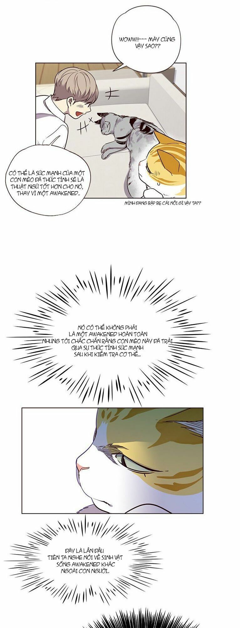 đọc truyện Hóa Thân Thành Mèo Chương 6 ảnh 7 tại Thiên Thai Truyện