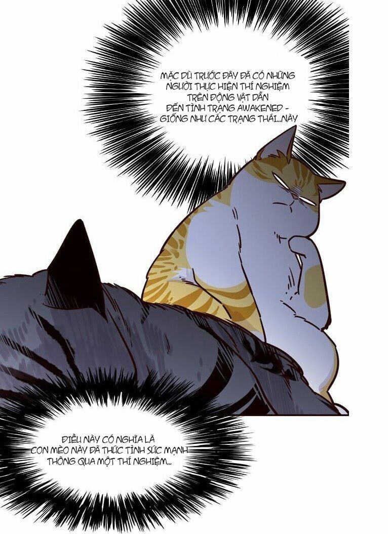 đọc truyện Hóa Thân Thành Mèo Chương 6 ảnh 8 tại Thiên Thai Truyện