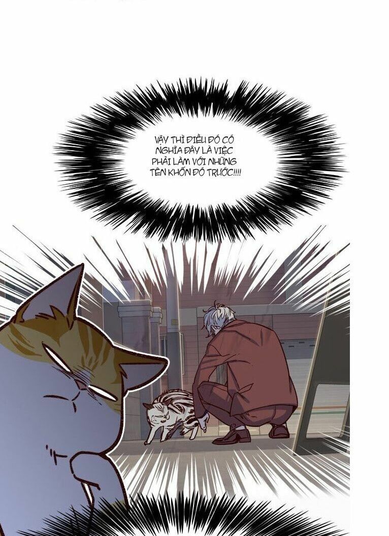 đọc truyện Hóa Thân Thành Mèo Chương 6 ảnh 9 tại Thiên Thai Truyện