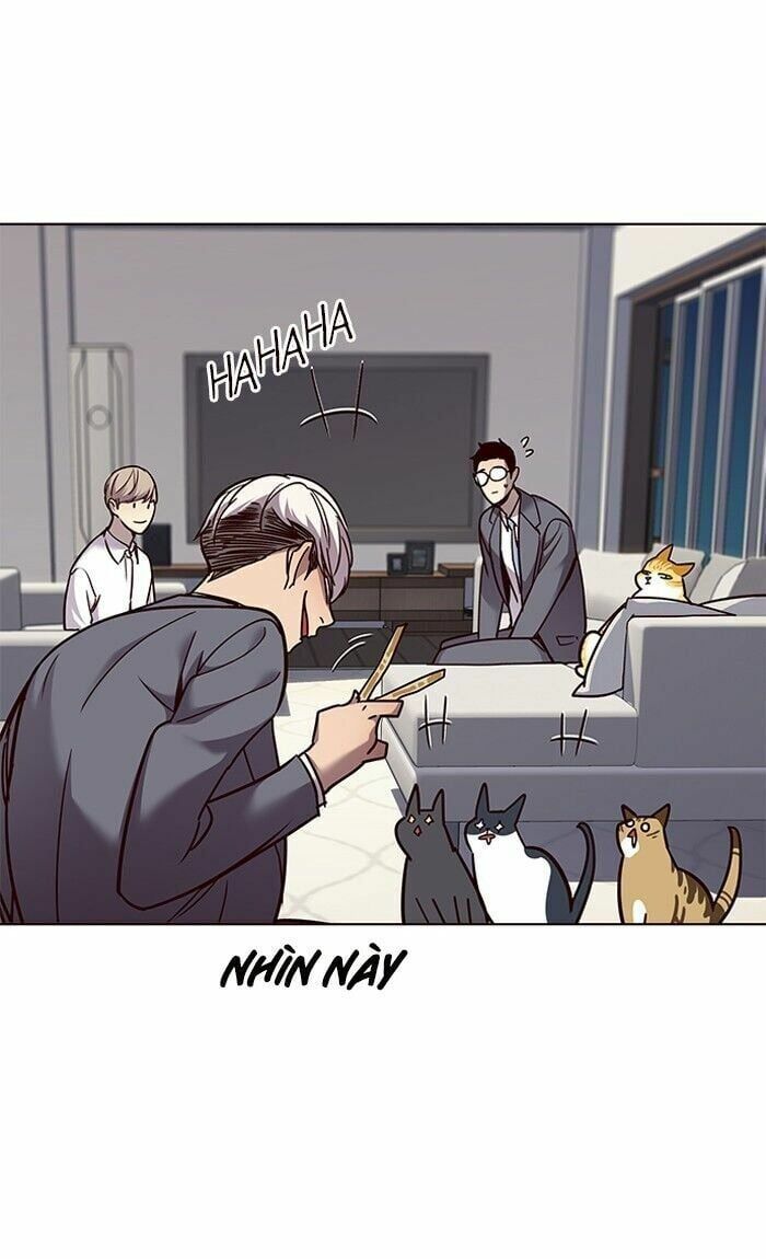 đọc truyện Hóa Thân Thành Mèo Chương 60 ảnh 48 tại Thiên Thai Truyện