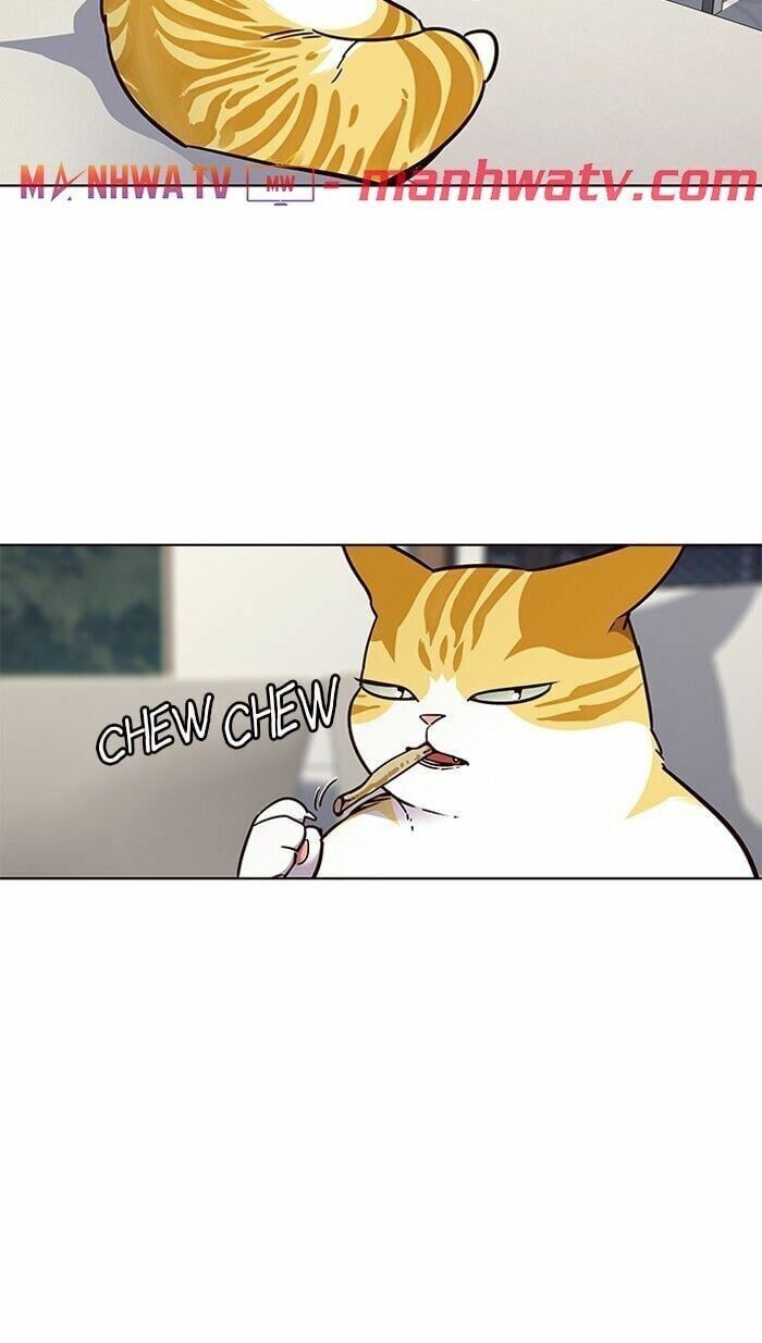 đọc truyện Hóa Thân Thành Mèo Chương 60 ảnh 50 tại Thiên Thai Truyện