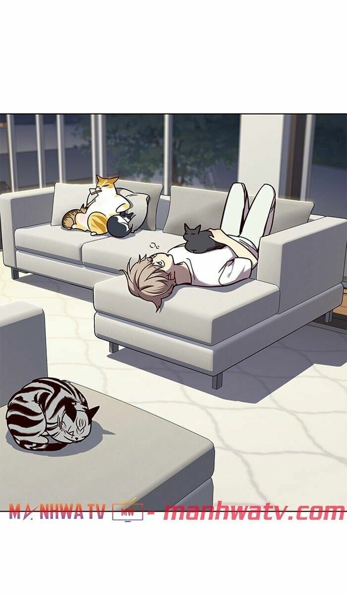 đọc truyện Hóa Thân Thành Mèo Chương 61 ảnh 70 tại Thiên Thai Truyện