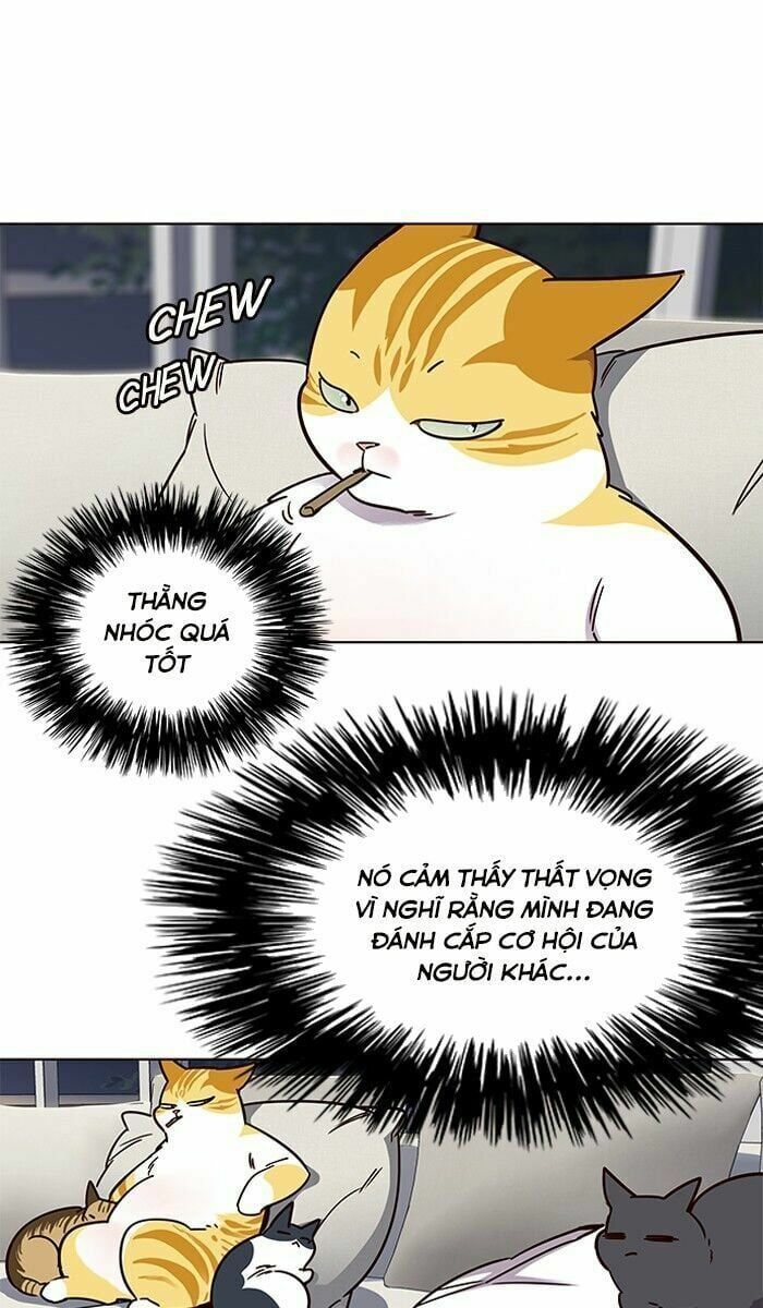 đọc truyện Hóa Thân Thành Mèo Chương 61 ảnh 71 tại Thiên Thai Truyện