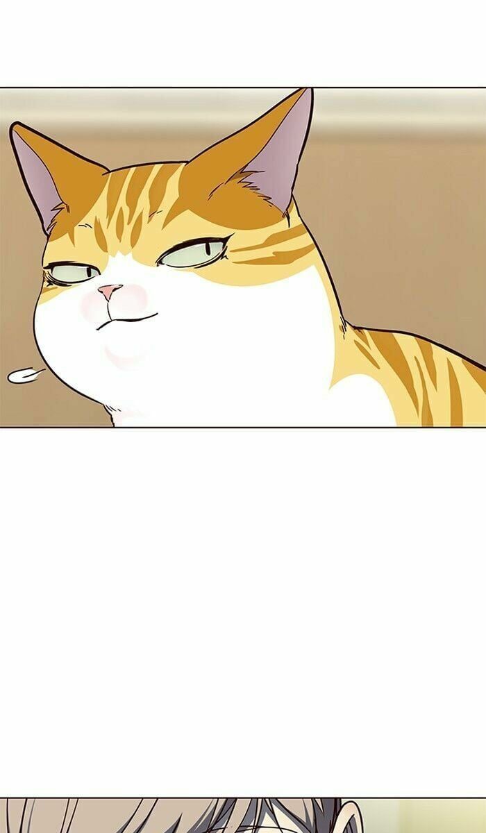 đọc truyện Hóa Thân Thành Mèo Chương 61 ảnh 81 tại Thiên Thai Truyện