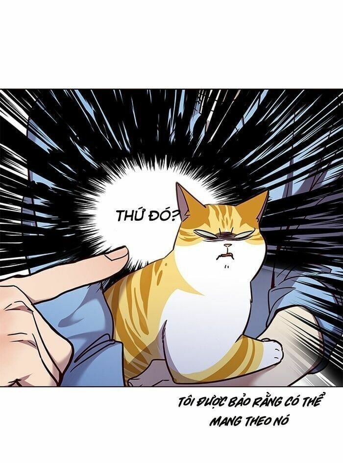 đọc truyện Hóa Thân Thành Mèo Chương 62 ảnh 37 tại Thiên Thai Truyện