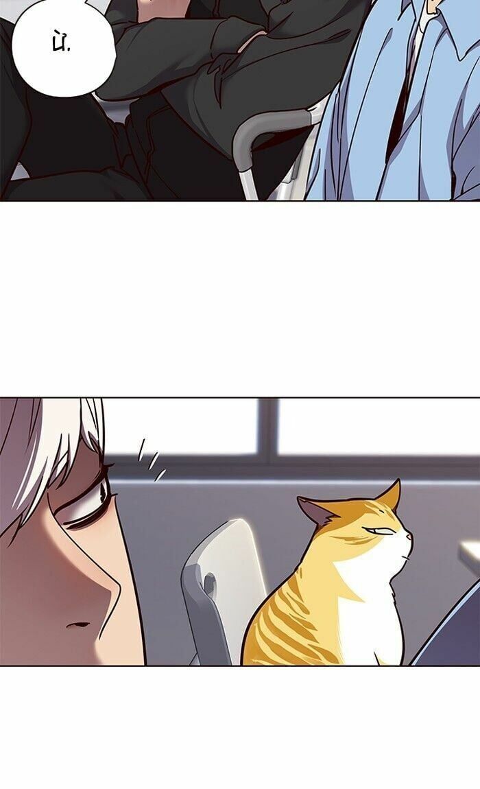 đọc truyện Hóa Thân Thành Mèo Chương 62 ảnh 58 tại Thiên Thai Truyện