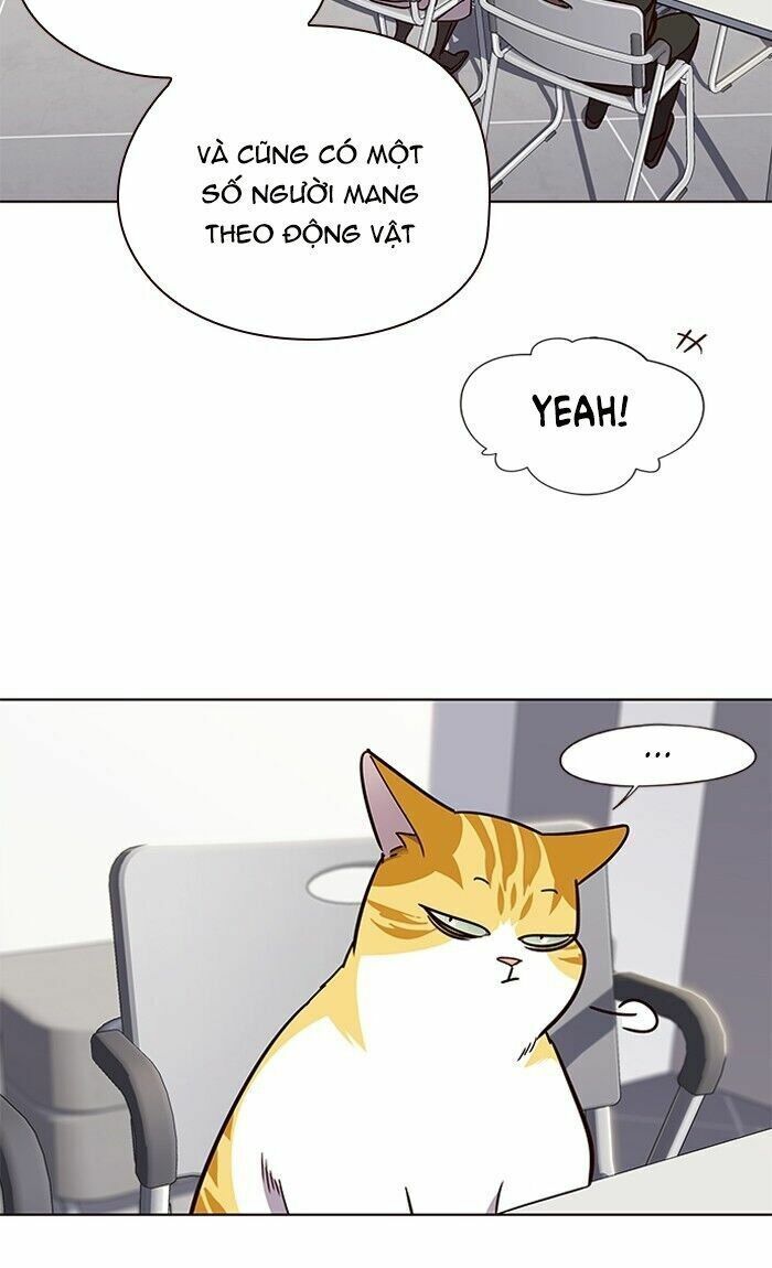 đọc truyện Hóa Thân Thành Mèo Chương 62 ảnh 70 tại Thiên Thai Truyện