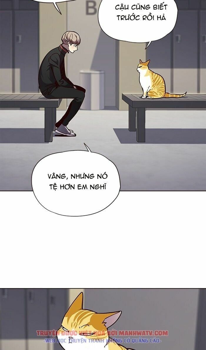 đọc truyện Hóa Thân Thành Mèo Chương 63 ảnh 42 tại Thiên Thai Truyện