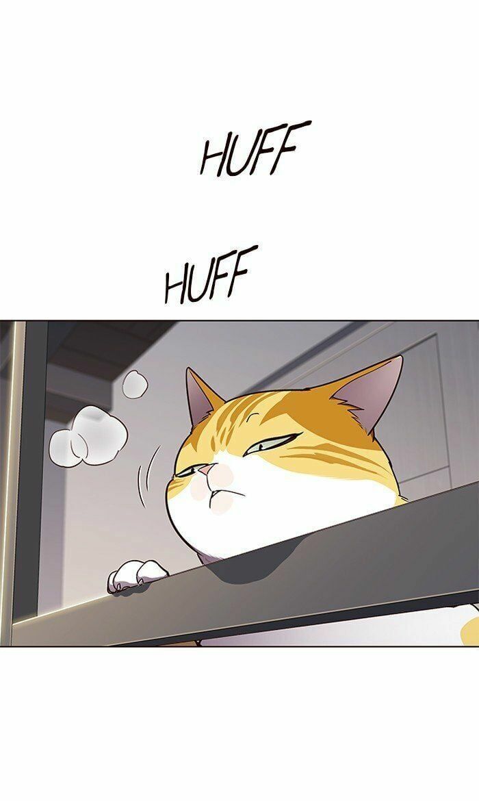 đọc truyện Hóa Thân Thành Mèo Chương 64 ảnh 54 tại Thiên Thai Truyện