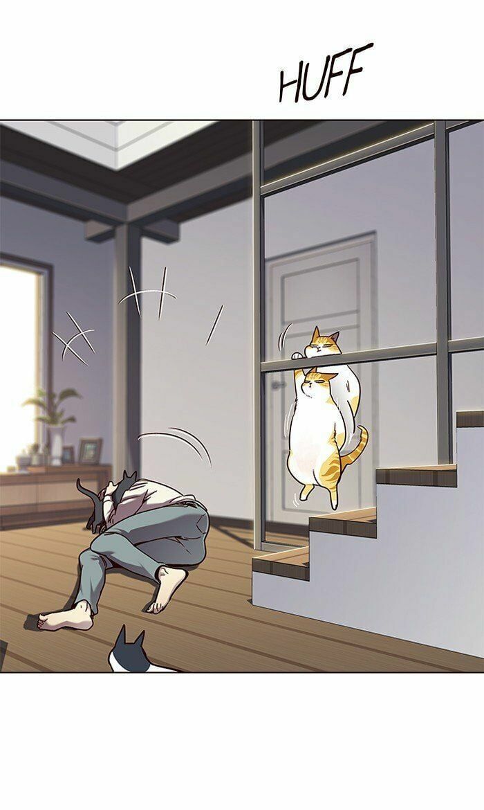 đọc truyện Hóa Thân Thành Mèo Chương 64 ảnh 55 tại Thiên Thai Truyện