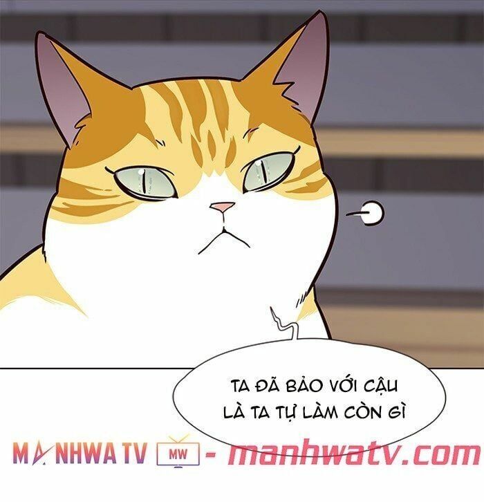 đọc truyện Hóa Thân Thành Mèo Chương 64 ảnh 63 tại Thiên Thai Truyện