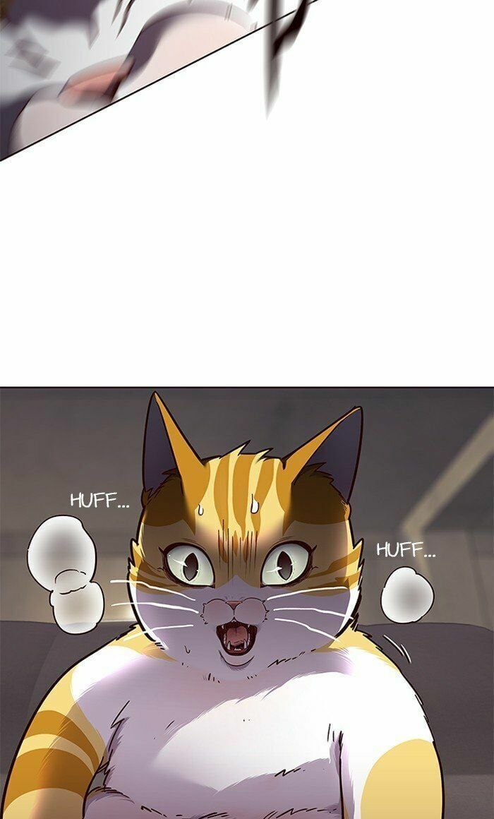 đọc truyện Hóa Thân Thành Mèo Chương 65 ảnh 13 tại Thiên Thai Truyện