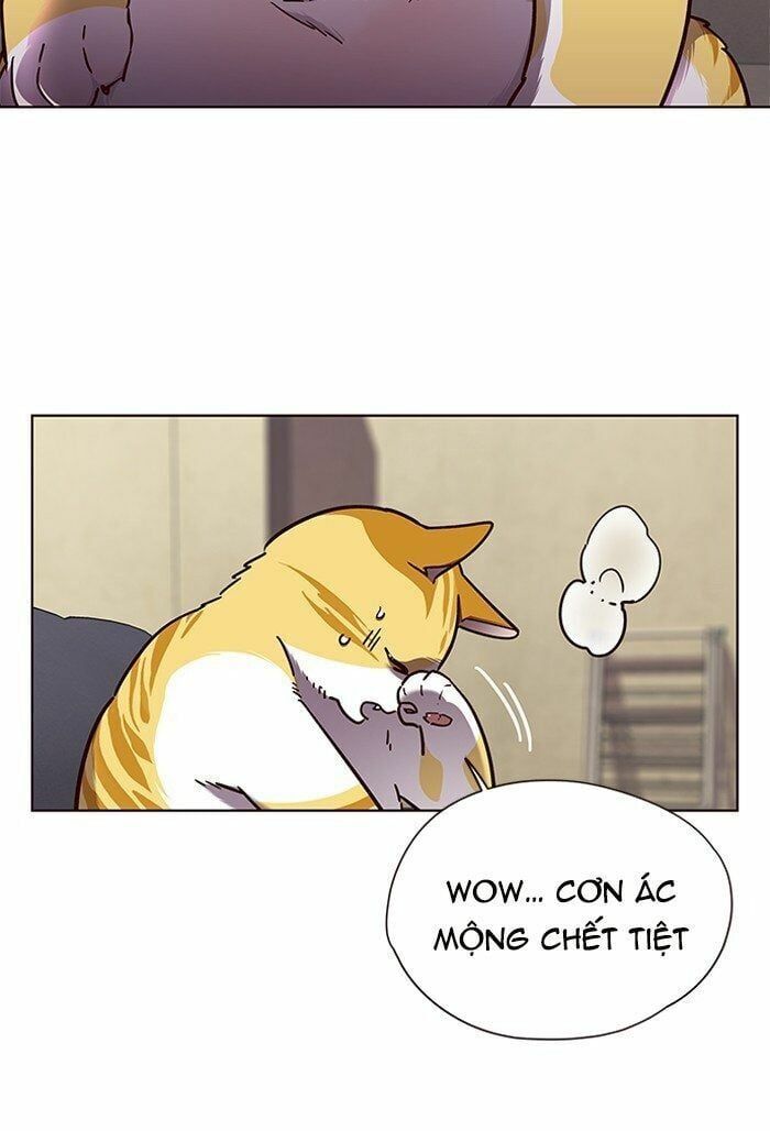 đọc truyện Hóa Thân Thành Mèo Chương 65 ảnh 14 tại Thiên Thai Truyện