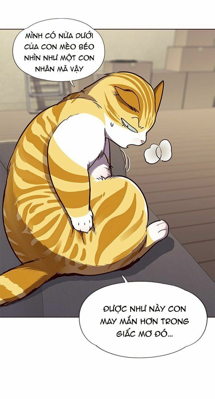 đọc truyện Hóa Thân Thành Mèo Chương 65 ảnh 15 tại Thiên Thai Truyện