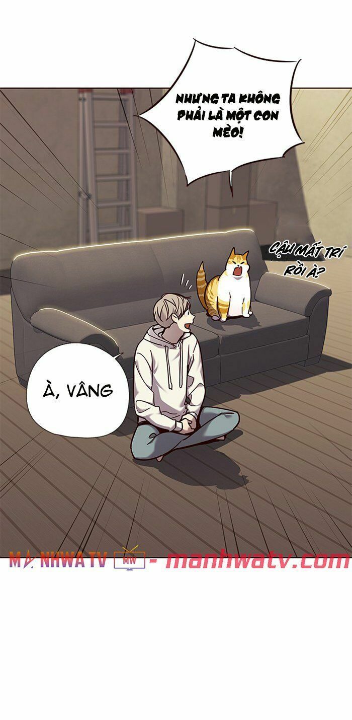 đọc truyện Hóa Thân Thành Mèo Chương 65 ảnh 19 tại Thiên Thai Truyện