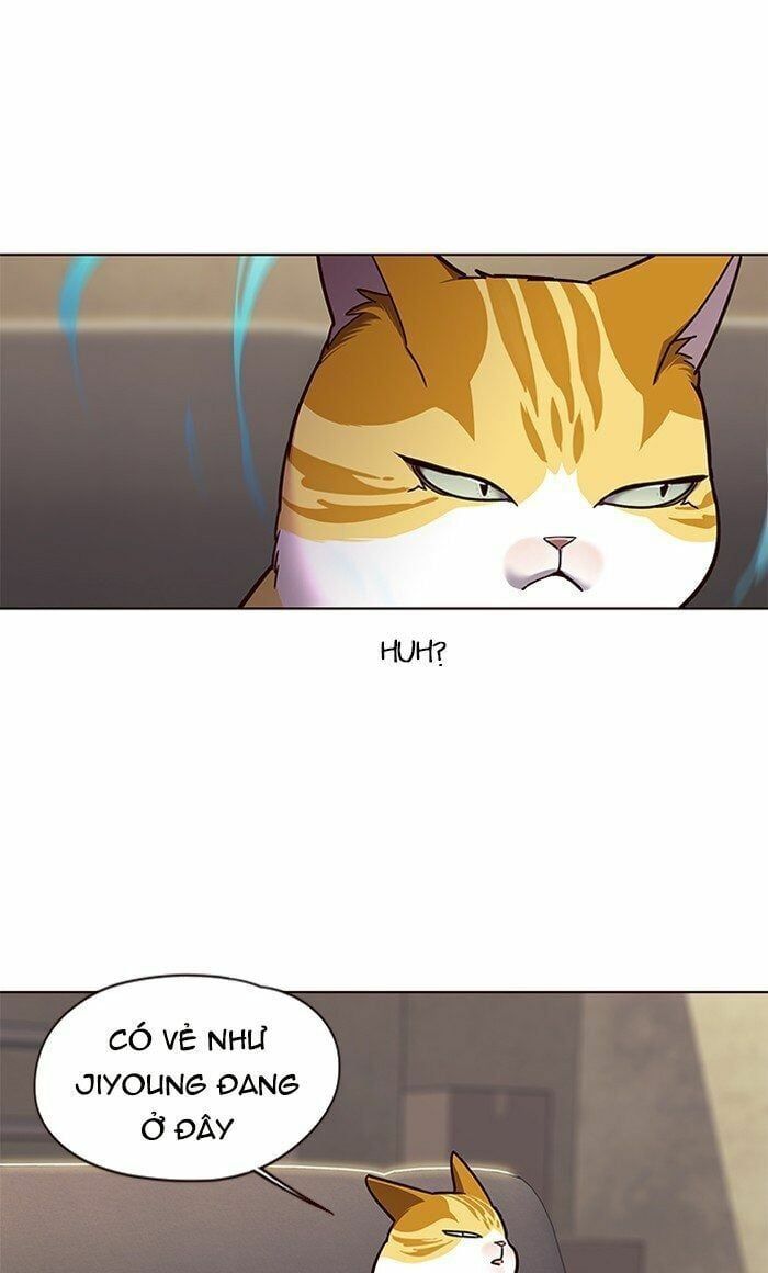 đọc truyện Hóa Thân Thành Mèo Chương 65 ảnh 26 tại Thiên Thai Truyện