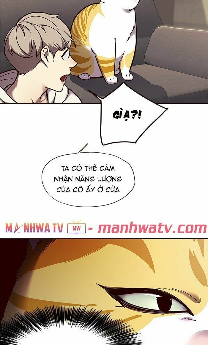 đọc truyện Hóa Thân Thành Mèo Chương 65 ảnh 27 tại Thiên Thai Truyện