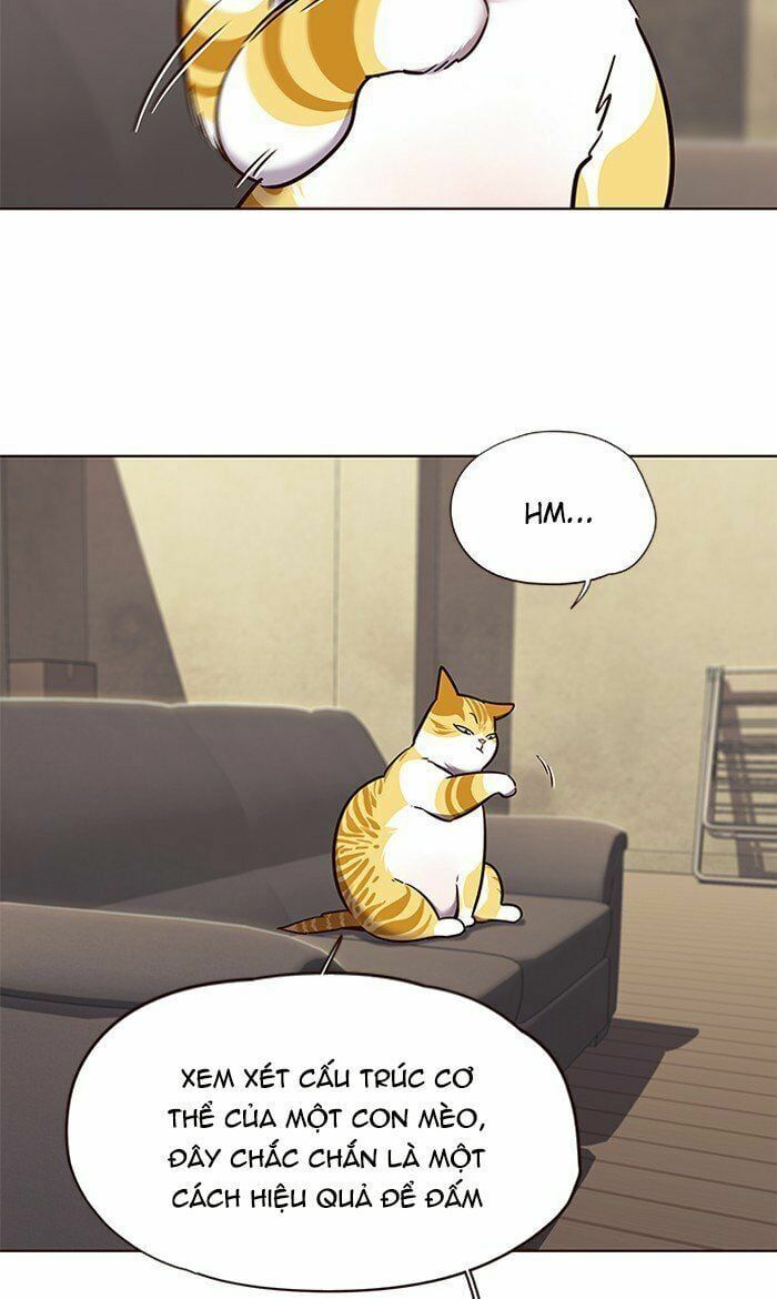 đọc truyện Hóa Thân Thành Mèo Chương 65 ảnh 70 tại Thiên Thai Truyện