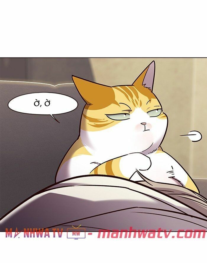 đọc truyện Hóa Thân Thành Mèo Chương 65 ảnh 82 tại Thiên Thai Truyện