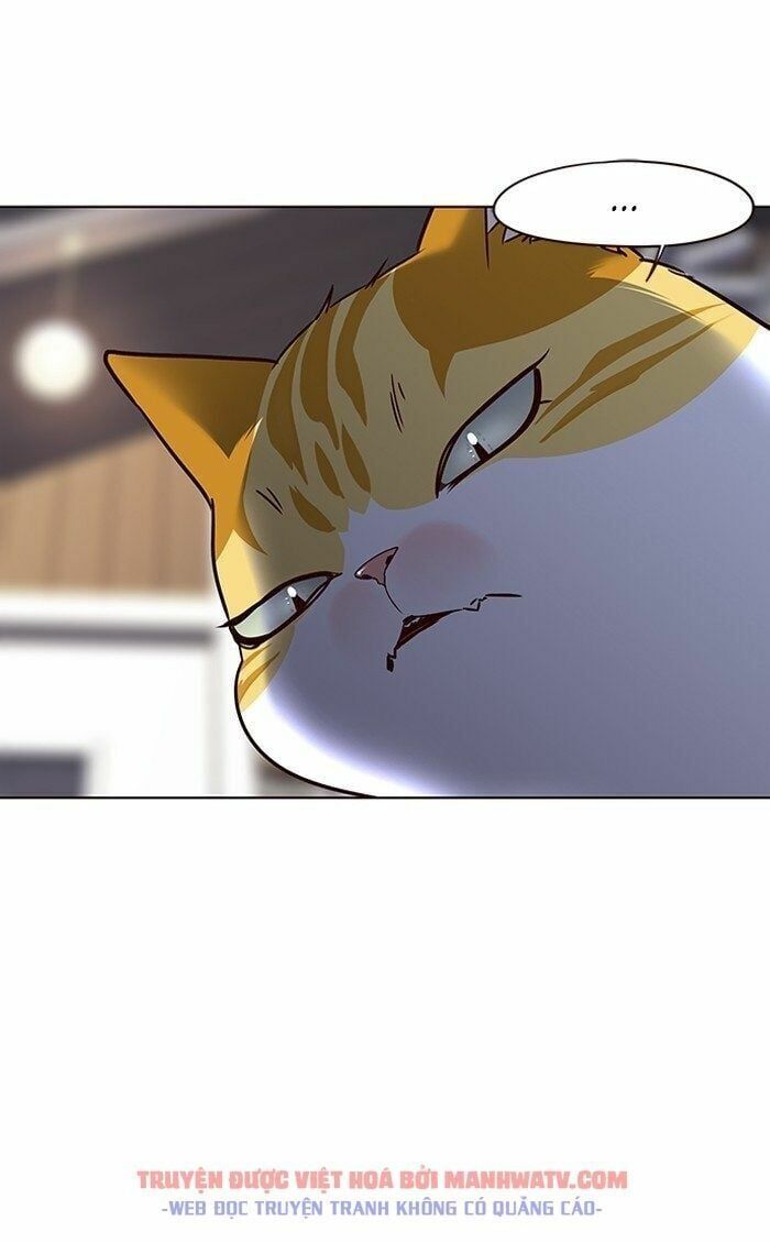 đọc truyện Hóa Thân Thành Mèo Chương 66 ảnh 77 tại Thiên Thai Truyện