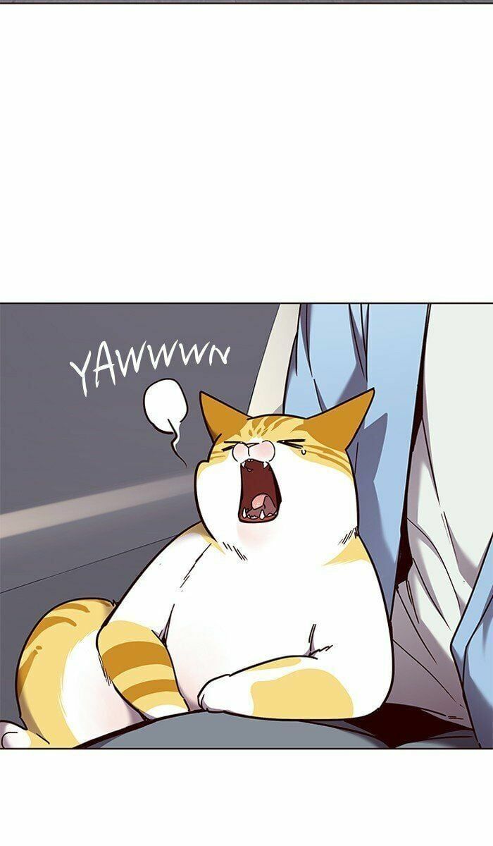 đọc truyện Hóa Thân Thành Mèo Chương 67 ảnh 35 tại Thiên Thai Truyện