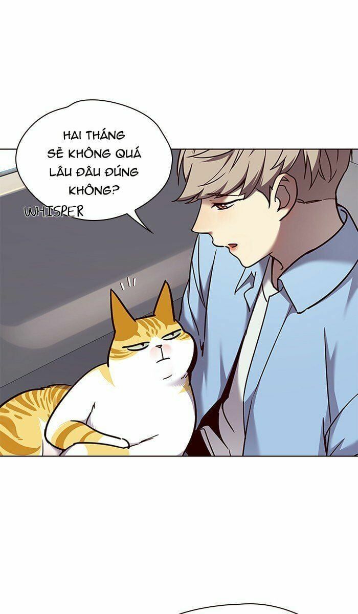 đọc truyện Hóa Thân Thành Mèo Chương 67 ảnh 36 tại Thiên Thai Truyện