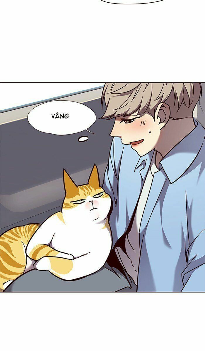 đọc truyện Hóa Thân Thành Mèo Chương 67 ảnh 38 tại Thiên Thai Truyện