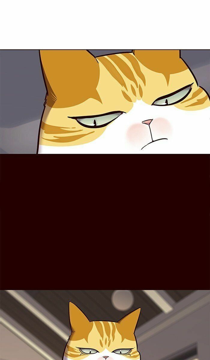 đọc truyện Hóa Thân Thành Mèo Chương 67 ảnh 39 tại Thiên Thai Truyện