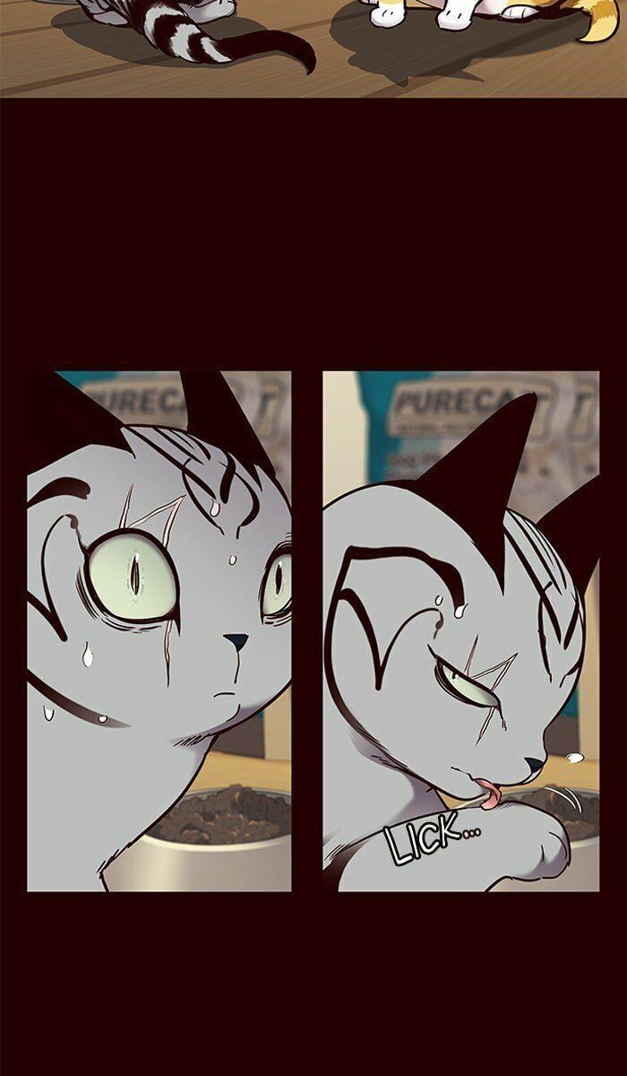 đọc truyện Hóa Thân Thành Mèo Chương 67 ảnh 41 tại Thiên Thai Truyện