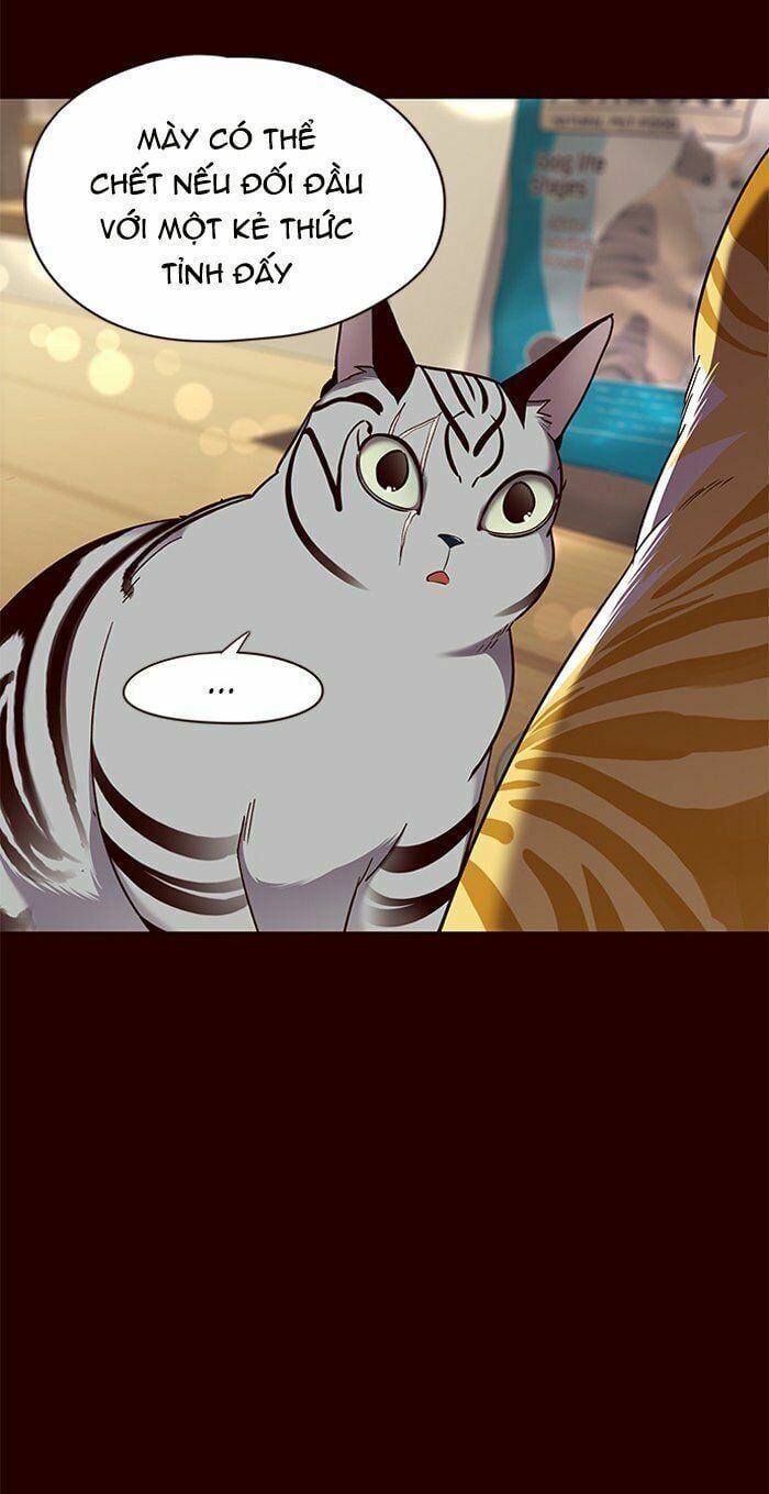 đọc truyện Hóa Thân Thành Mèo Chương 67 ảnh 43 tại Thiên Thai Truyện