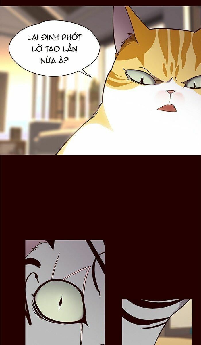 đọc truyện Hóa Thân Thành Mèo Chương 67 ảnh 44 tại Thiên Thai Truyện