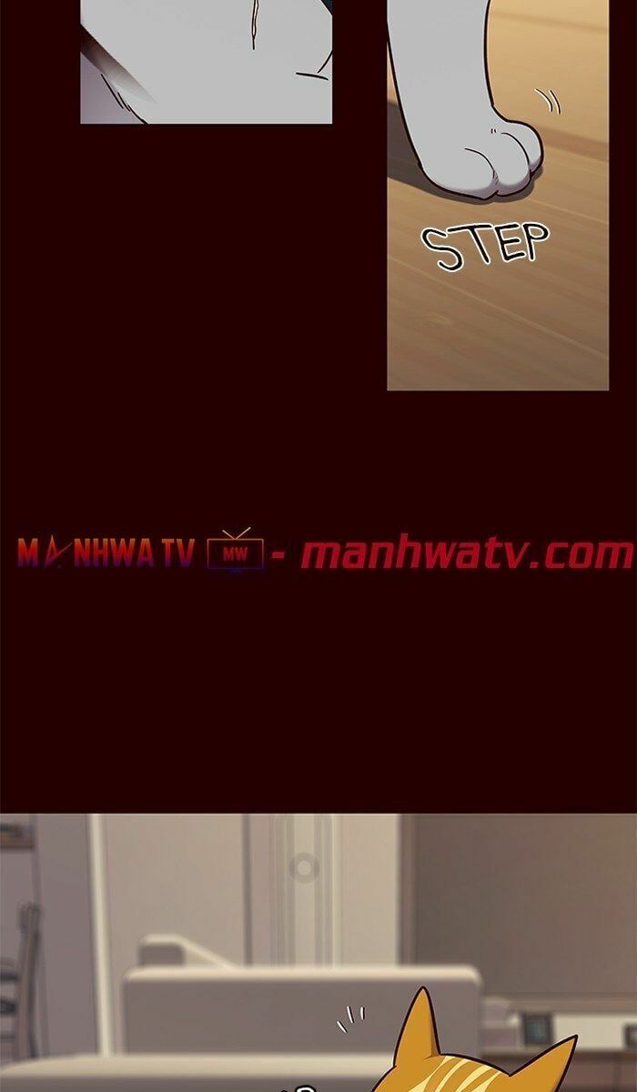 đọc truyện Hóa Thân Thành Mèo Chương 67 ảnh 45 tại Thiên Thai Truyện