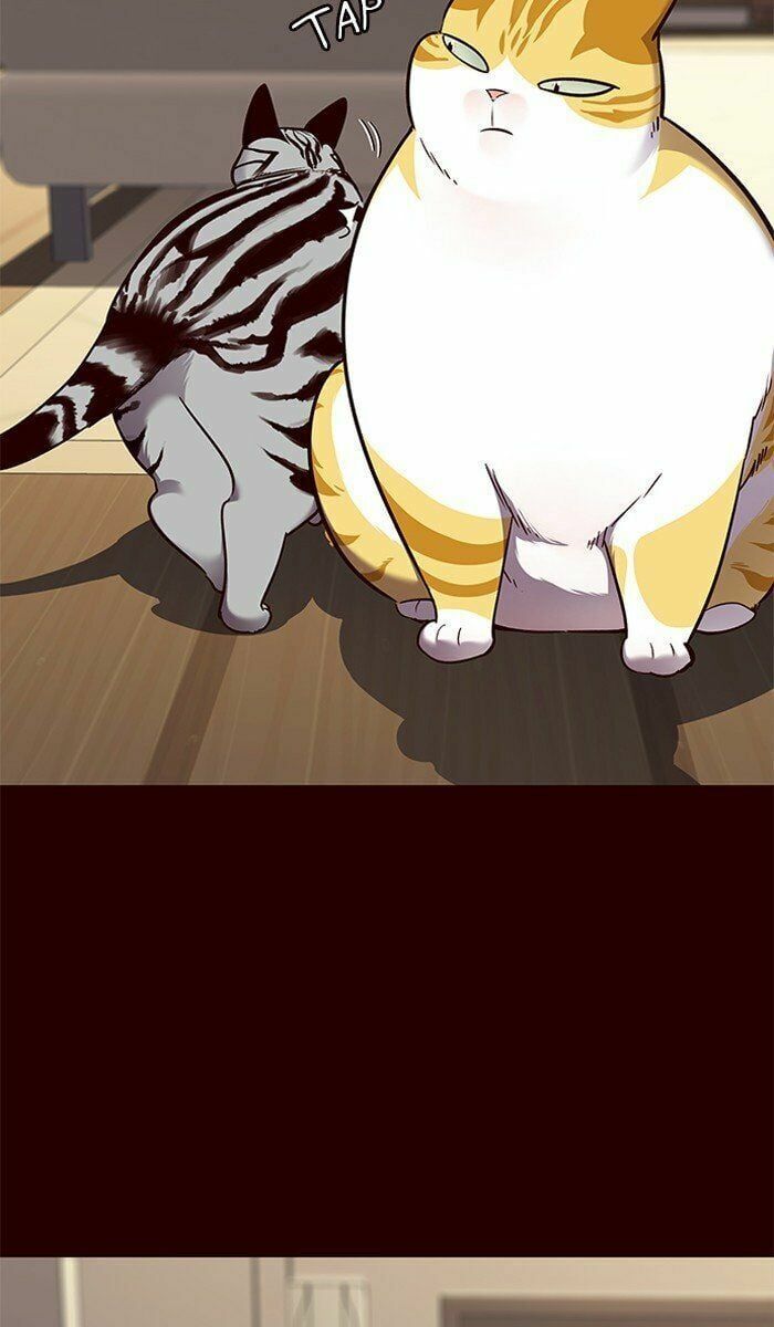 đọc truyện Hóa Thân Thành Mèo Chương 67 ảnh 46 tại Thiên Thai Truyện