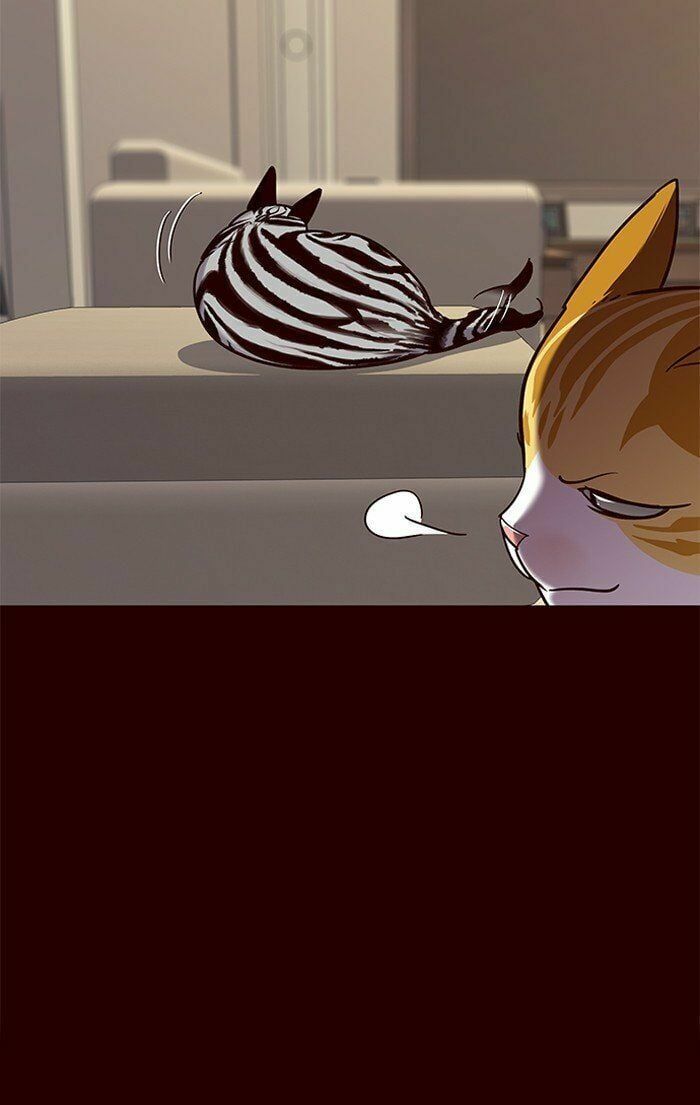 đọc truyện Hóa Thân Thành Mèo Chương 67 ảnh 47 tại Thiên Thai Truyện