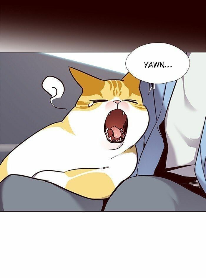 đọc truyện Hóa Thân Thành Mèo Chương 67 ảnh 48 tại Thiên Thai Truyện